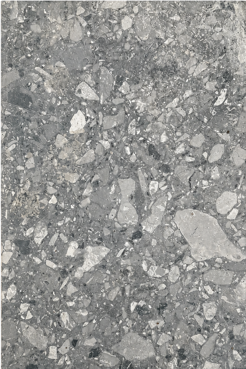 eb2dd894-3e76-42bc-a73b-28fa86b46b66-Photoroom_bfe0b1de-b6e3-4359-8599-f502017a8d47.png